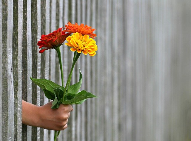 Raisons pour lesquelles il est important d'offrir un bouquet de fleurs en  cadeau.